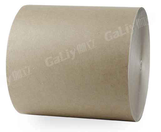 1533969056721696.jpg 理文Q級??╛02.jpg