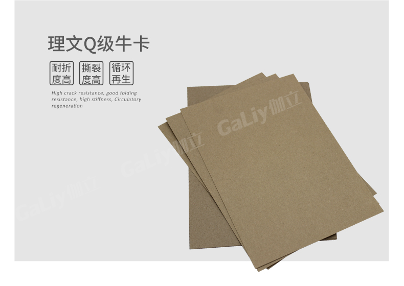 1533969106629786.jpg 理文Q級??╛04.jpg